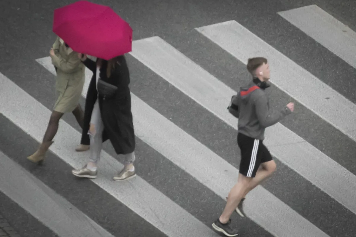 Bright pink umbrella crossing a zebra crossing beside a passing runner